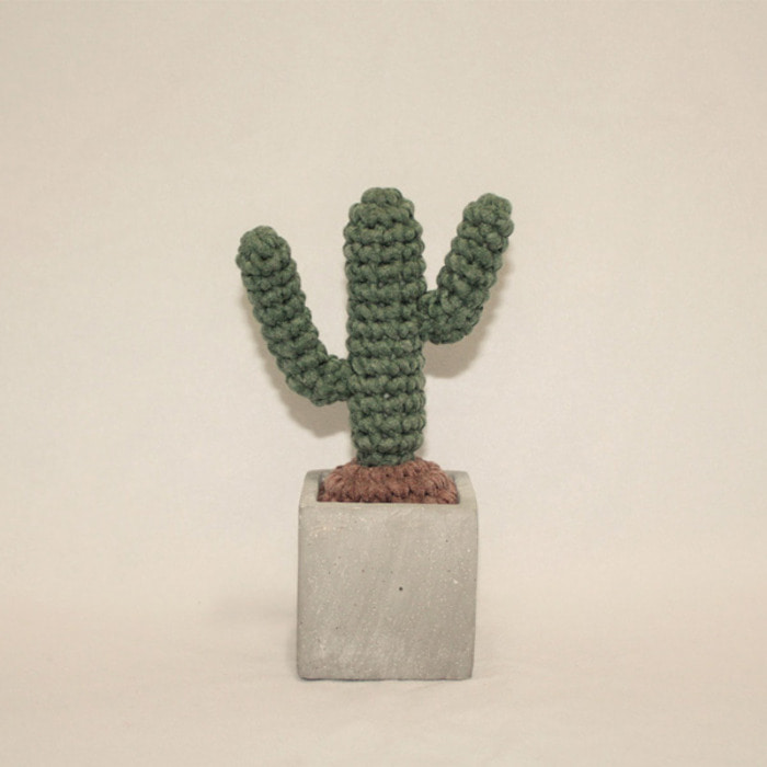 니트선인장 Knit Cactus - MY-CT-001KN