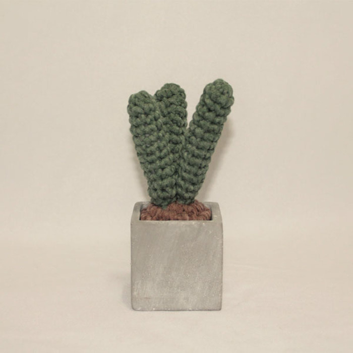 니트선인장 Knit Cactus - MY-CT-002KN